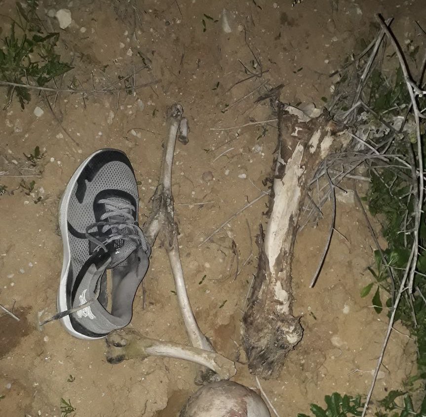 Palestinian casualty identification appeal Gaza