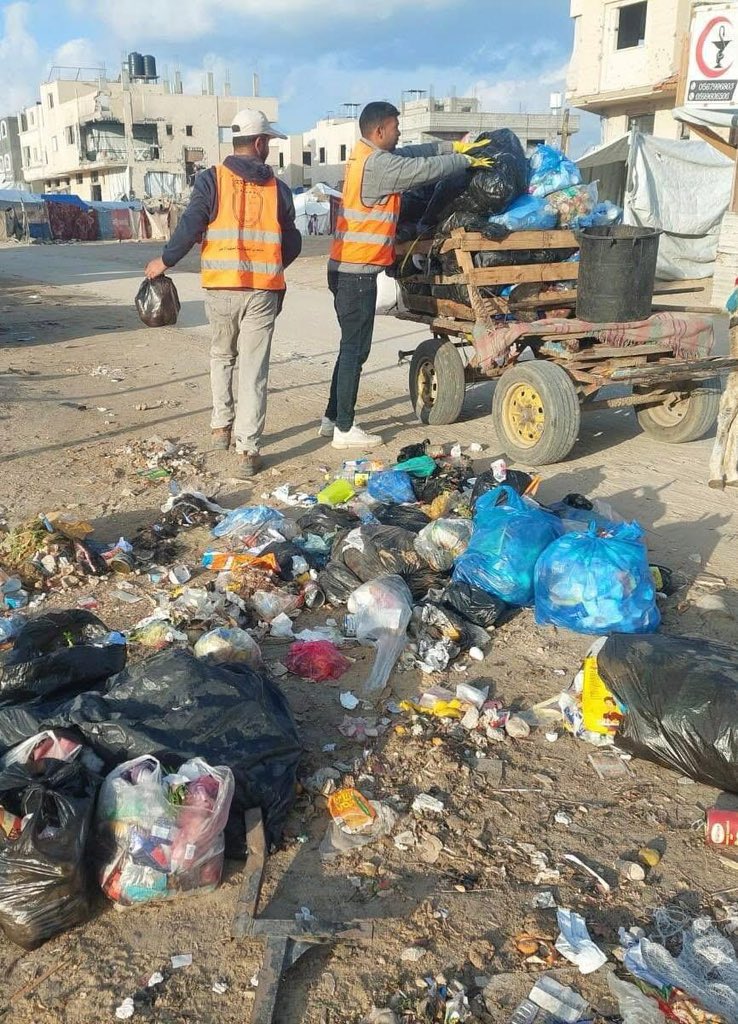 Gaza sanitation crisis: fuel ban forces donkey cart use