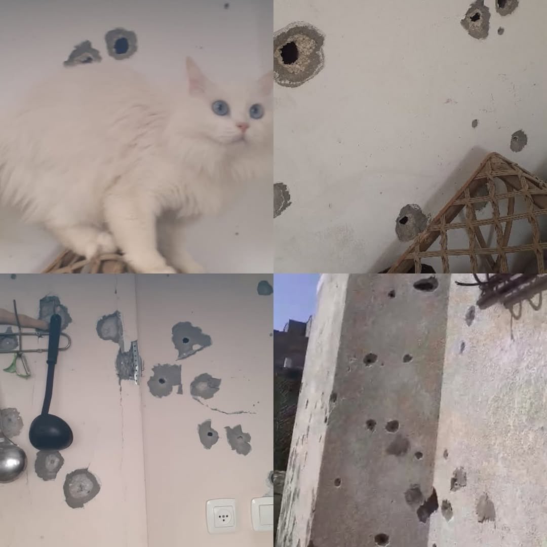 Family in East Al-Maghazi lives under daily shelling threats