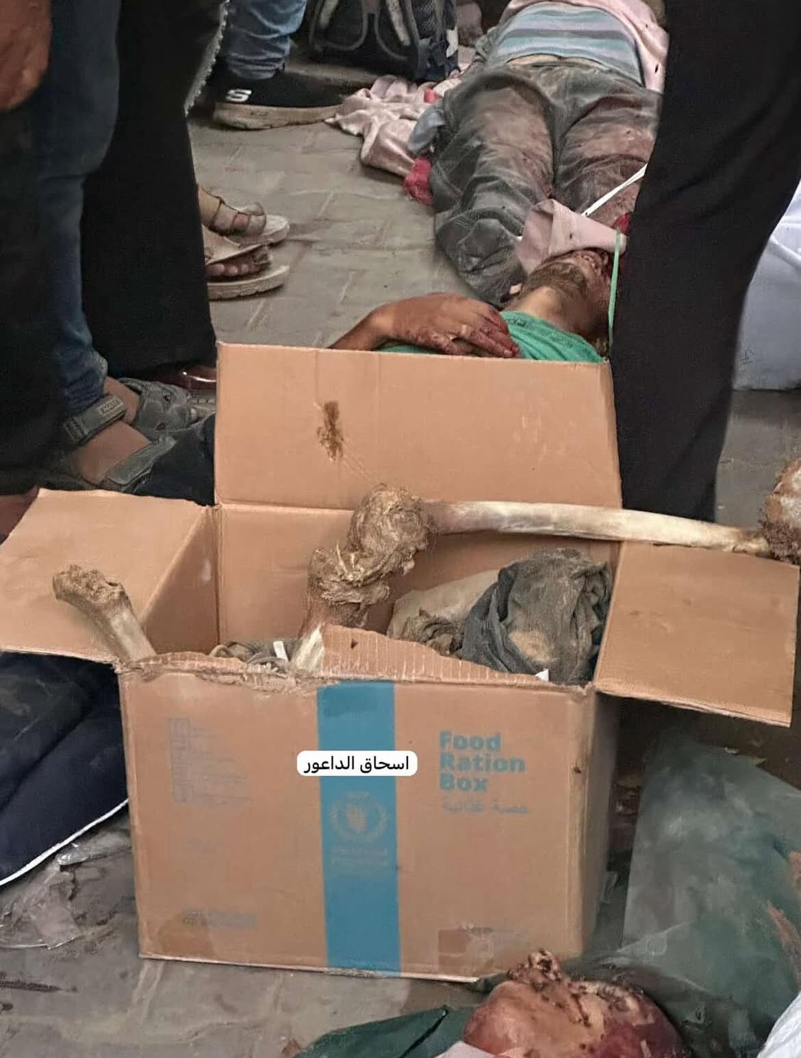 Unidentified Palestinian casualty found in aid shipment