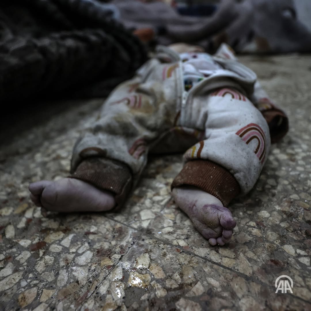 Gaza Strip Casualties Report March 18 2025