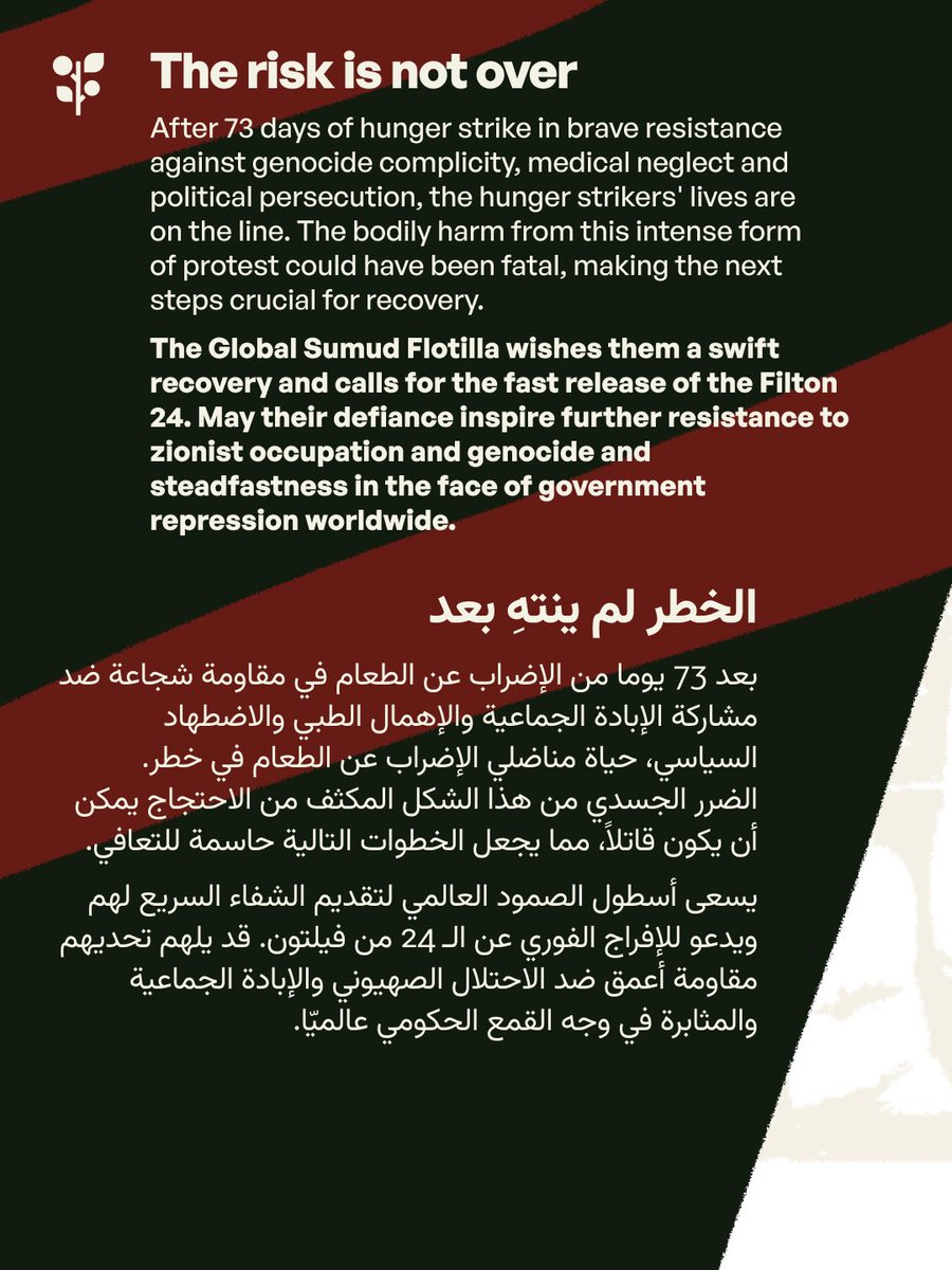 Palestinian Hunger Strikes: Resistance and Global Victory Against Arms Trade