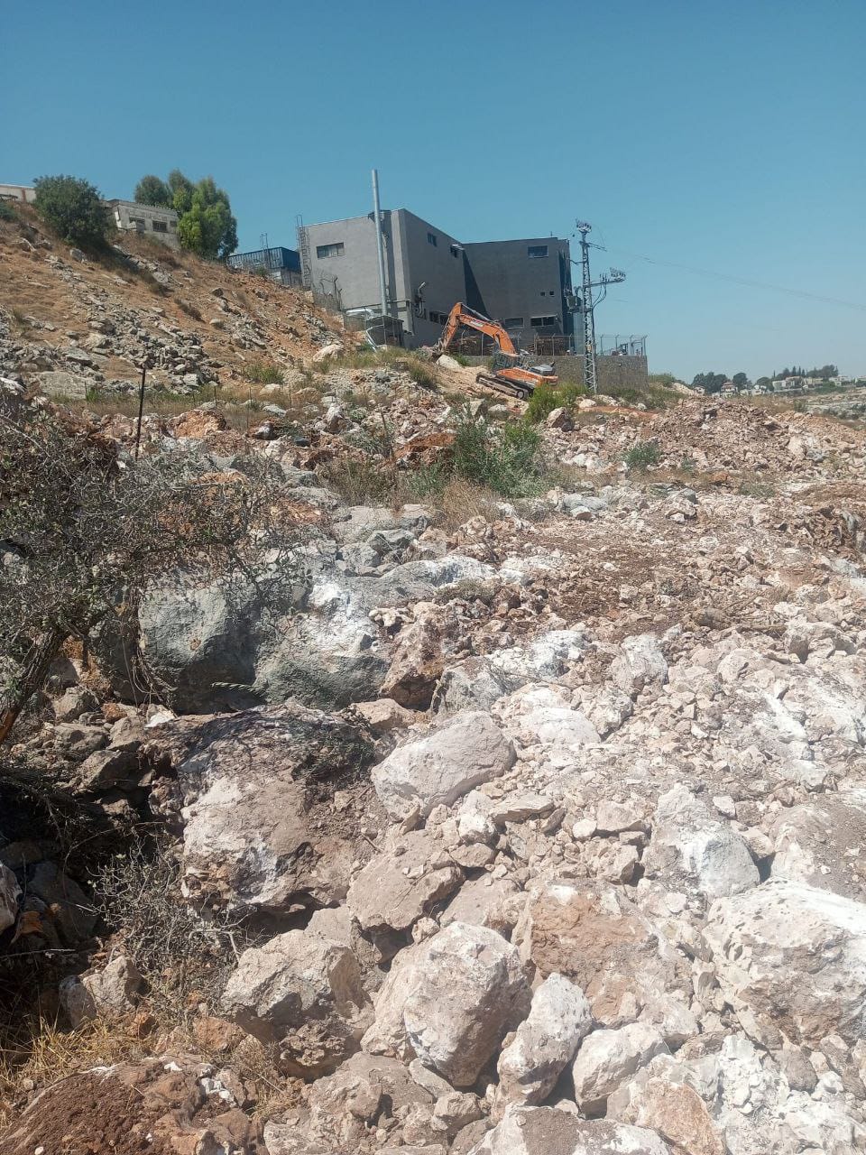 Israeli occupation destroys 150 trees and 20 acres farmland in Haris