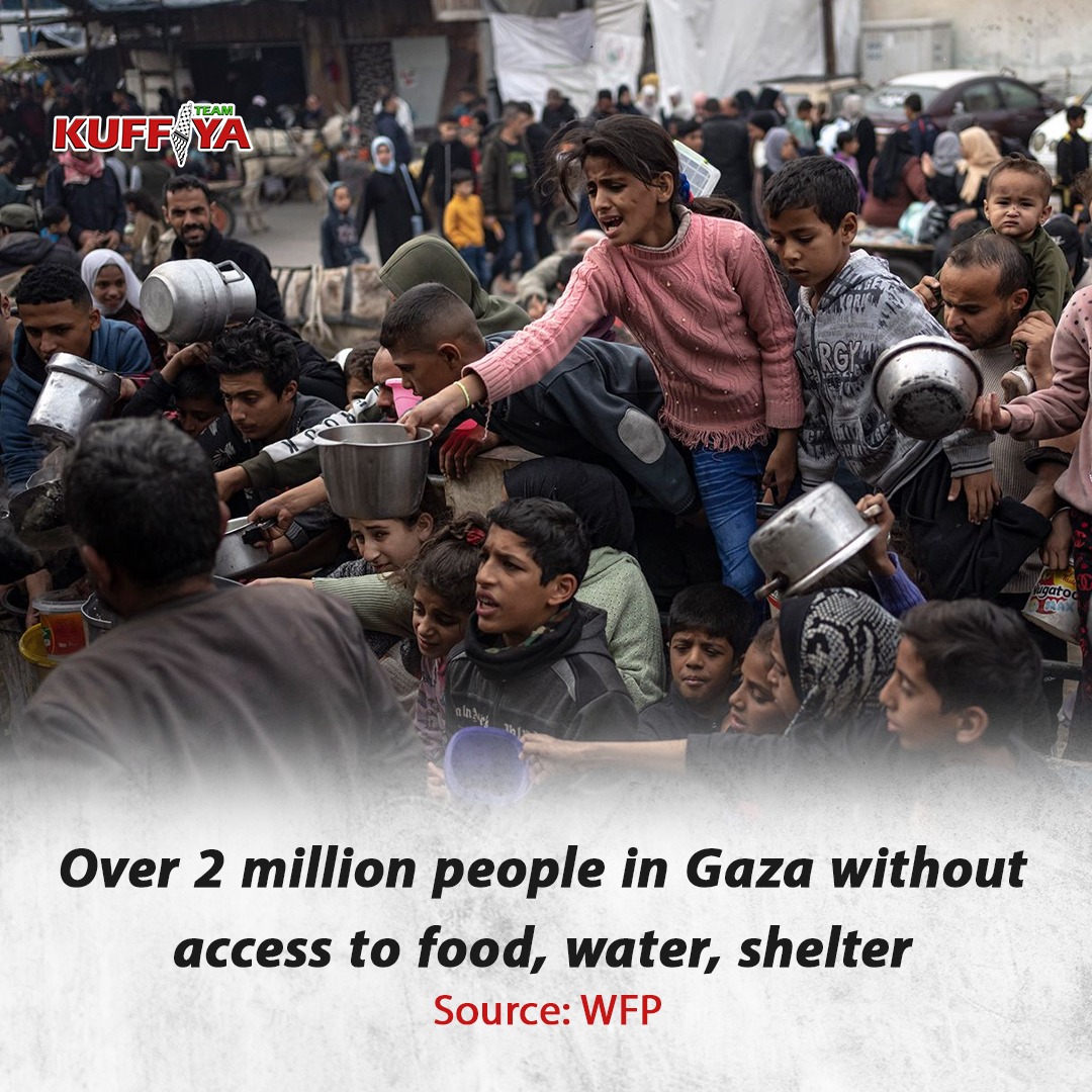 UN WFP: International Aid Unable to Meet Gaza Civilian Needs