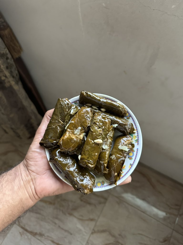 Grape Leaves from Turkey Reach Gaza Market