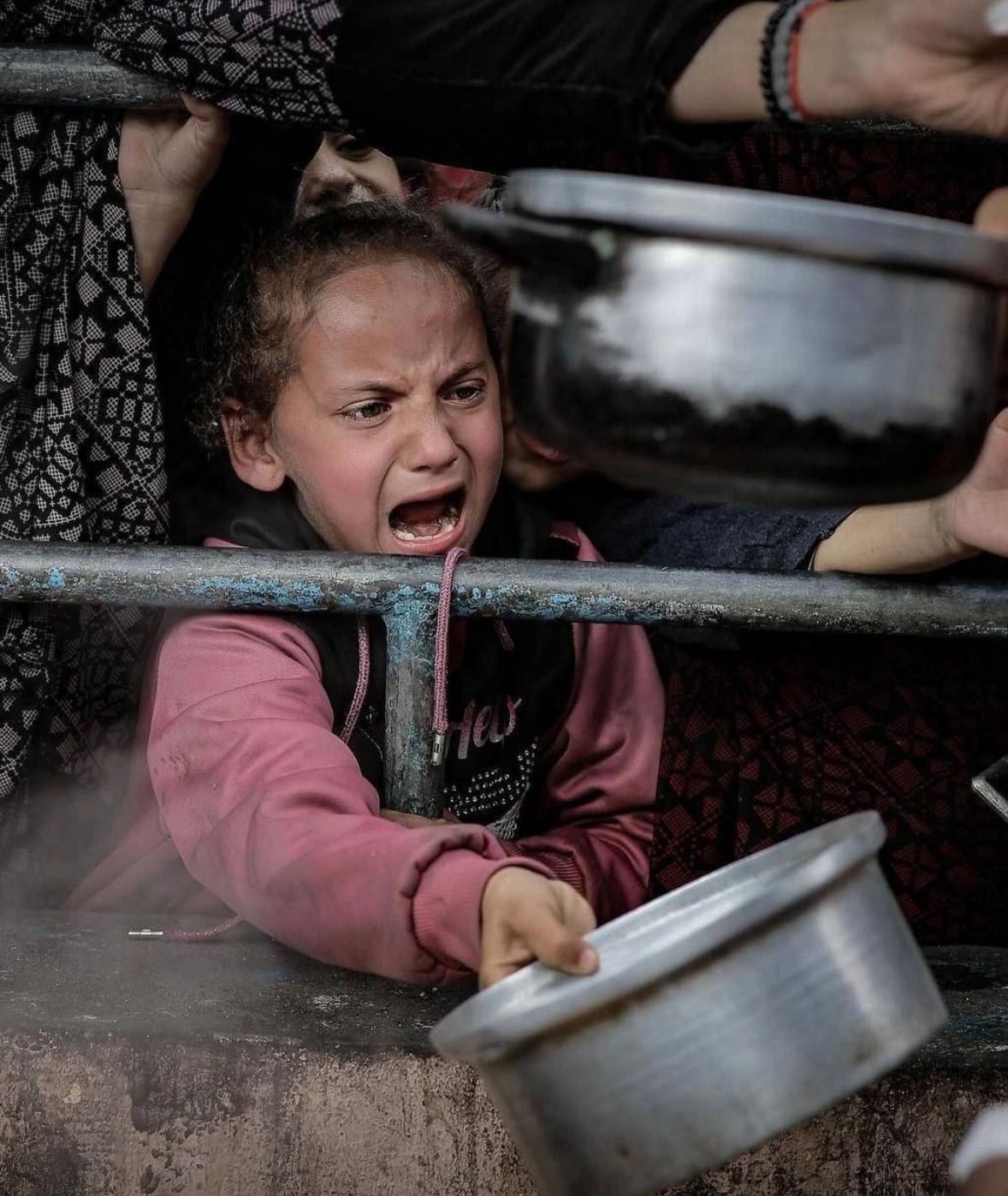 Critical Starvation Crisis in Gaza Documented