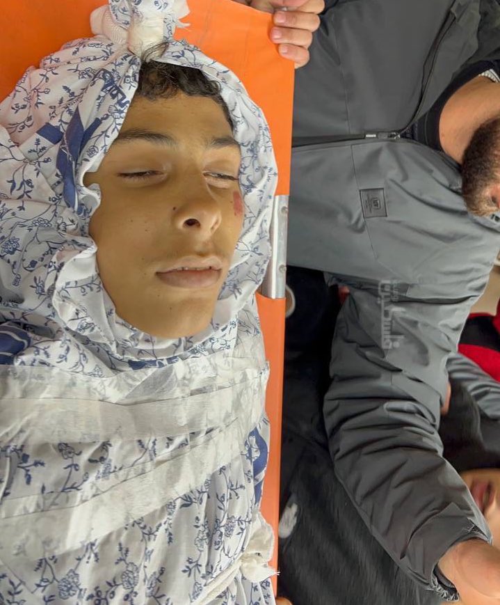 Israeli settlers kill 14-year-old Palestinian boy near Nablus