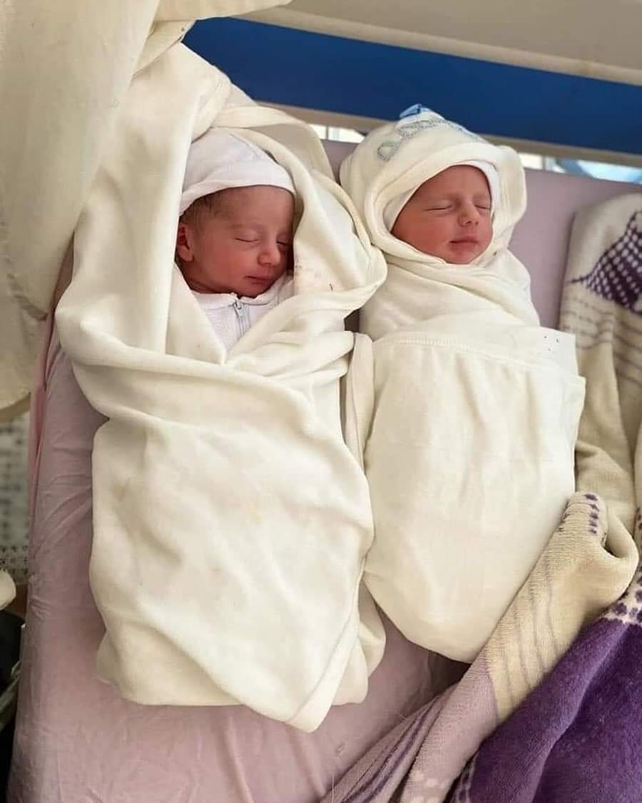 Newborn Twins and Mother Killed in Gaza Shelling