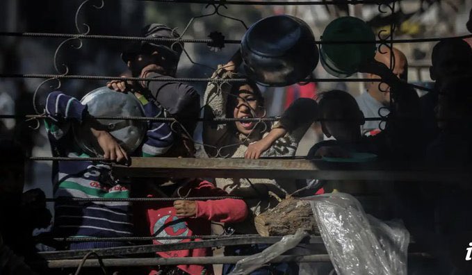 Starvation Crisis in Gaza Strip: Personal Account
