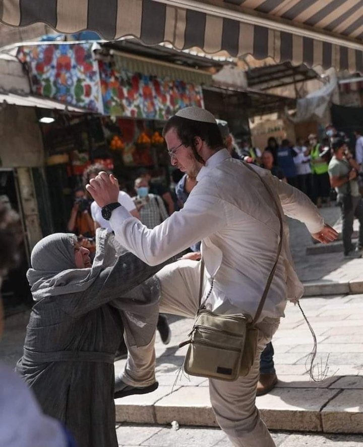 Jewish settlers attack Palestinian woman in West Bank