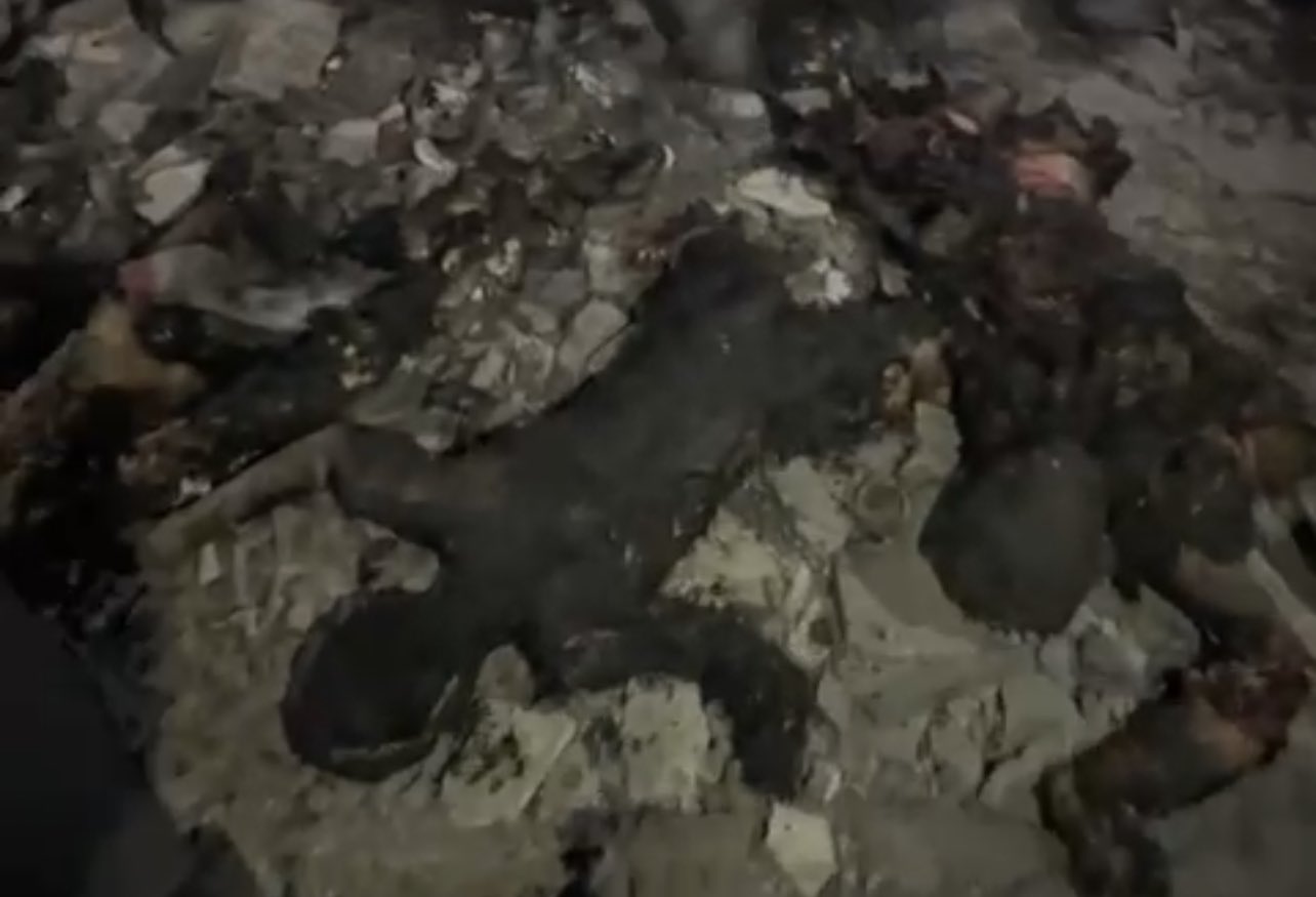 Death toll from Israeli bombing of Gaza school rises to 39