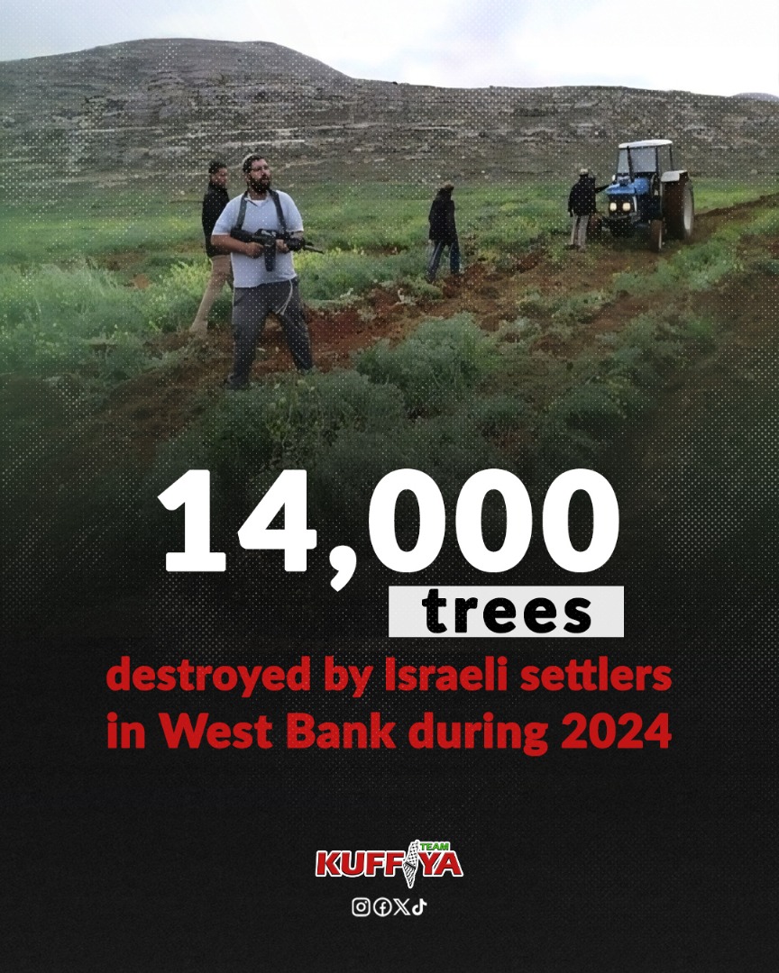 14,000 Trees Destroyed by Settlers in West Bank 2024