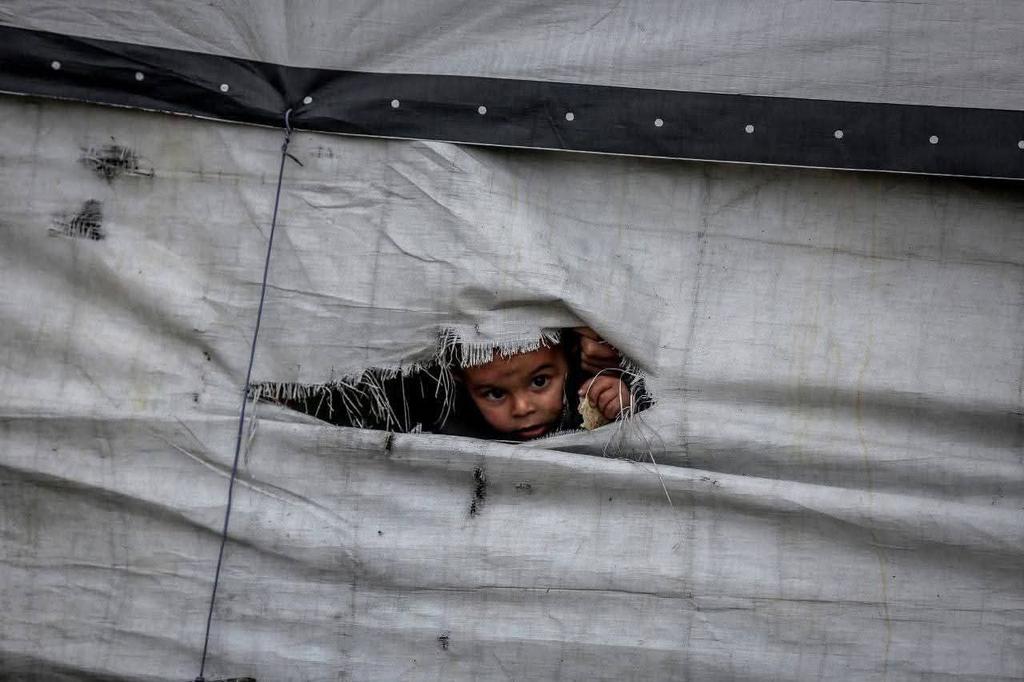 Voice from Gaza: A Call for Global Solidarity and Recognition