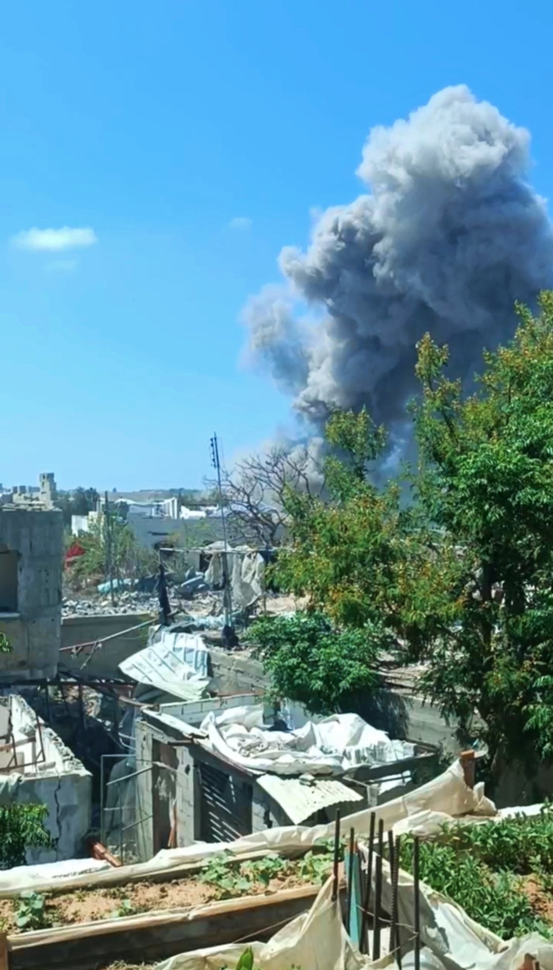 Israeli occupation commits 8 massacres killing 63 in 24 hours