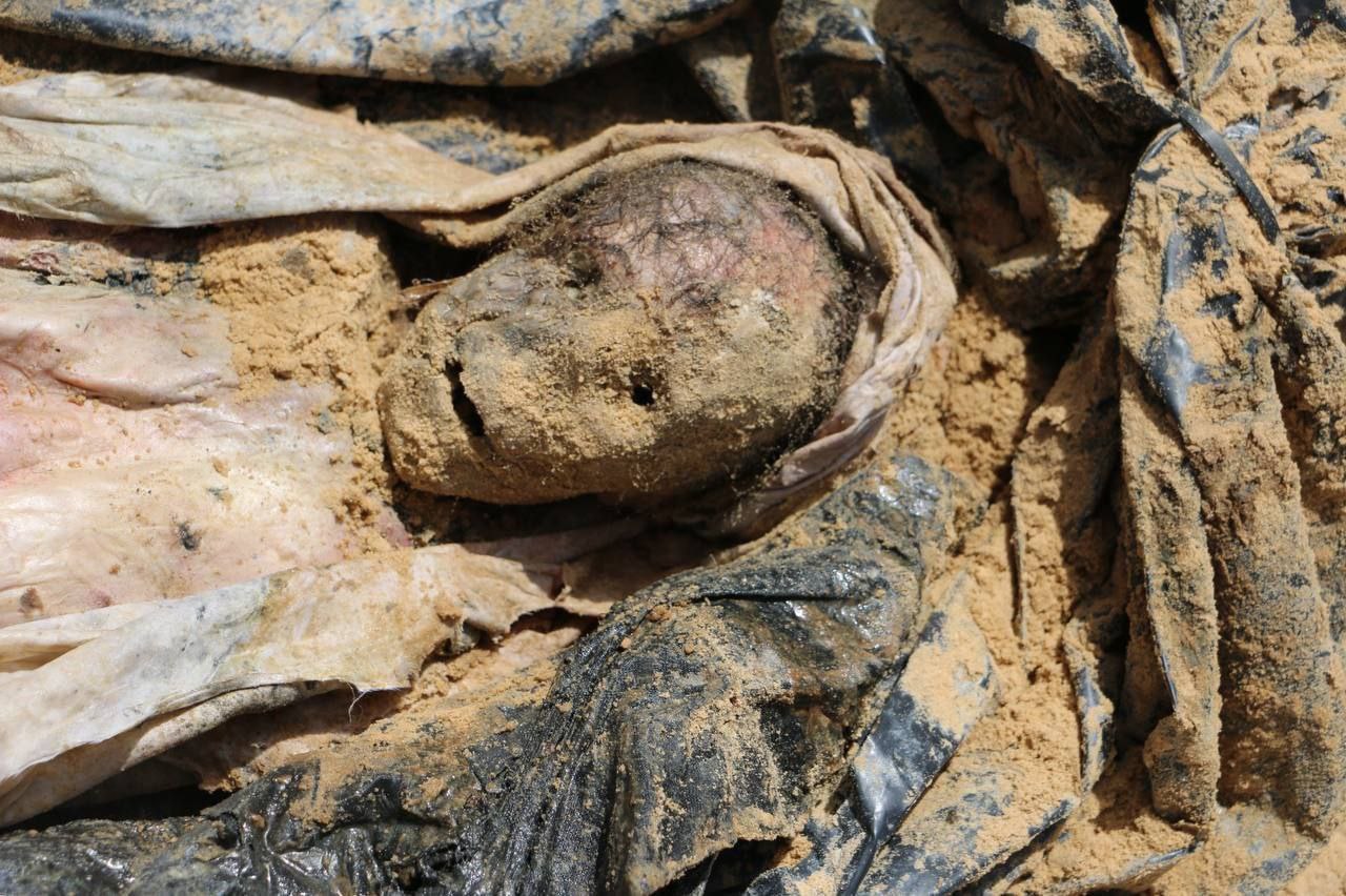 Mass graves at Nasser Hospital yield evidence of 392 bodies