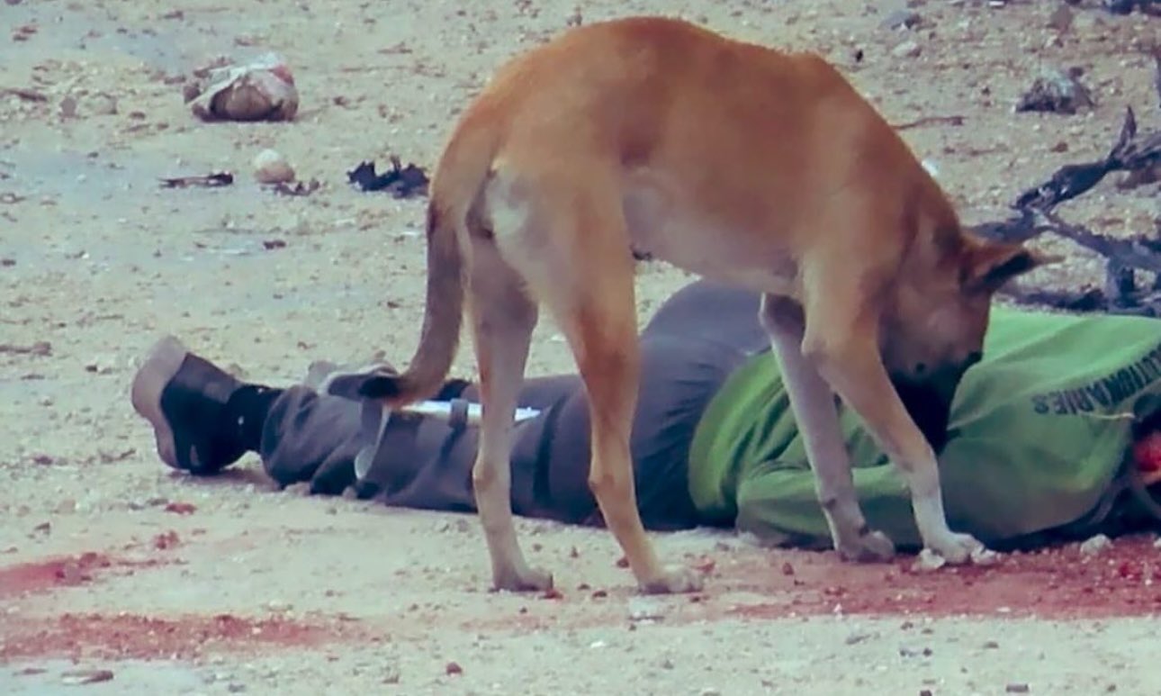 Dog desecration of Palestinian body in Gaza