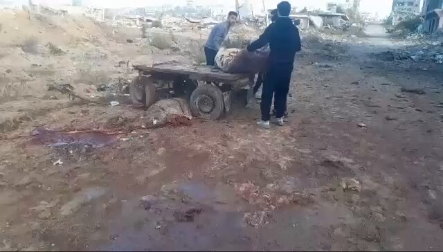 Israeli airstrike targets animal cart with martyr bodies in Gaza