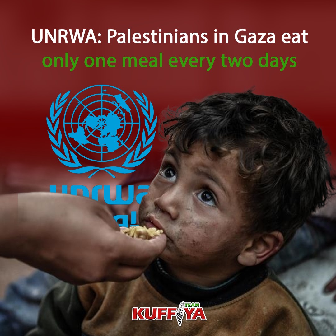 UNRWA: Gaza Palestinians Limited to One Meal Every Two Days