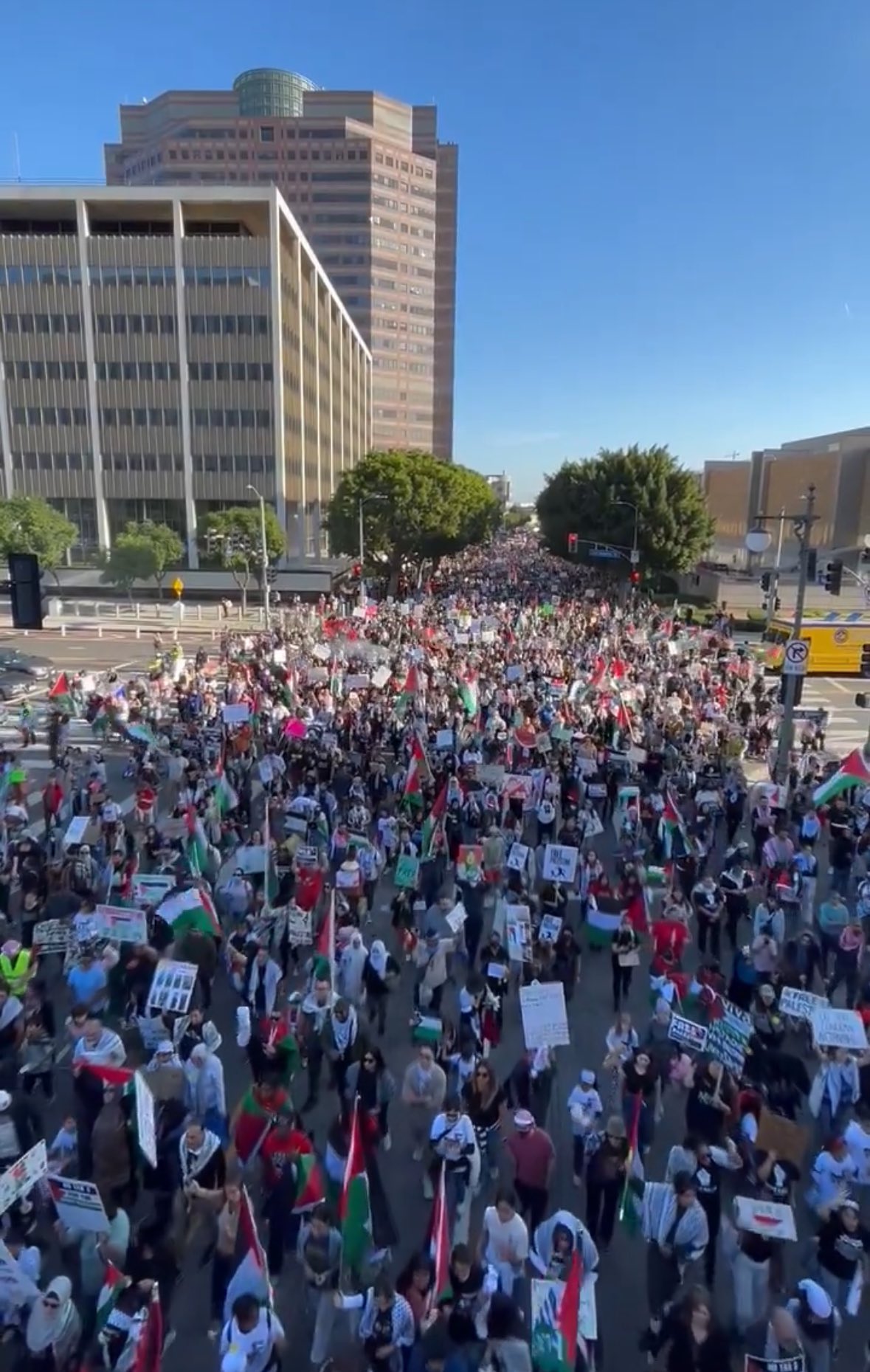 Los Angeles activism: Continue advocating for Gaza
