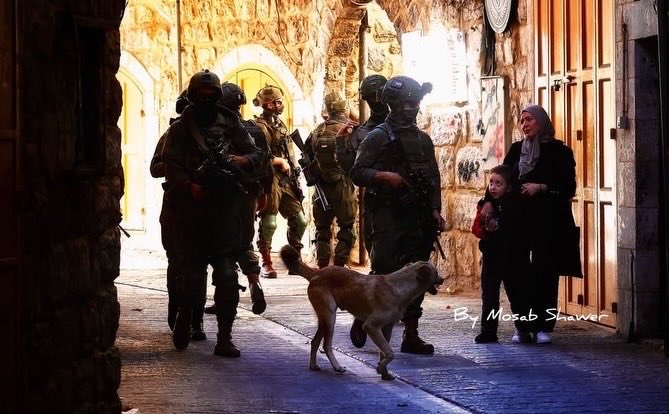 Israeli forces and settlers raid Hebron Old City, woman shields child