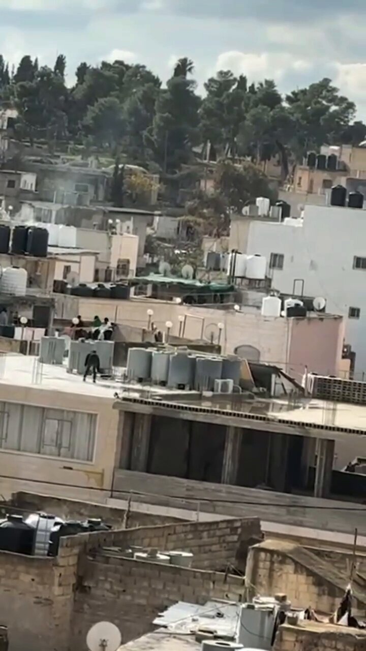 Young Palestinian Woman Killed by Israeli Gunfire in Hebron