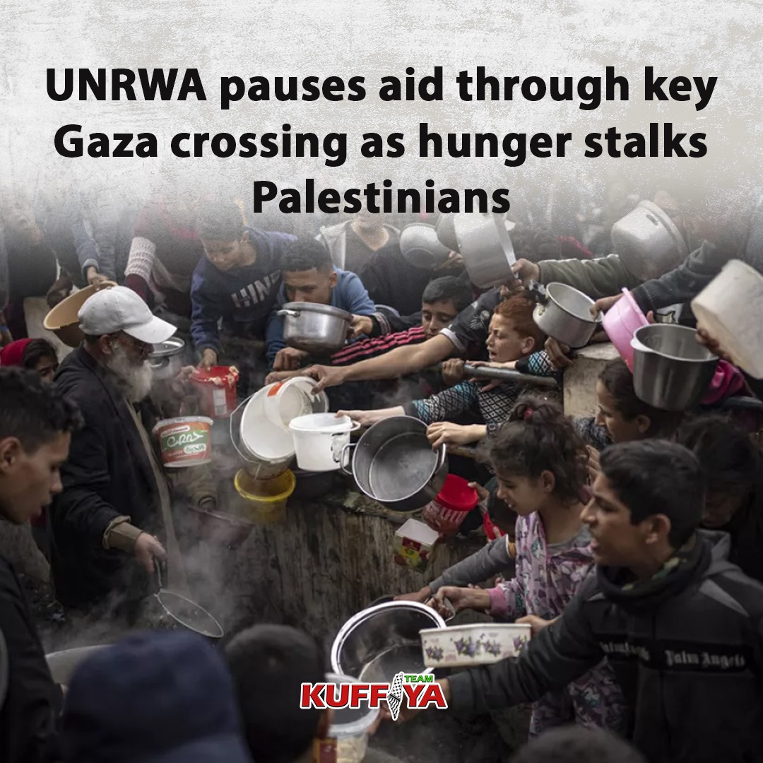 UN agency halts Palestinian refugee aid deliveries in Gaza due to security