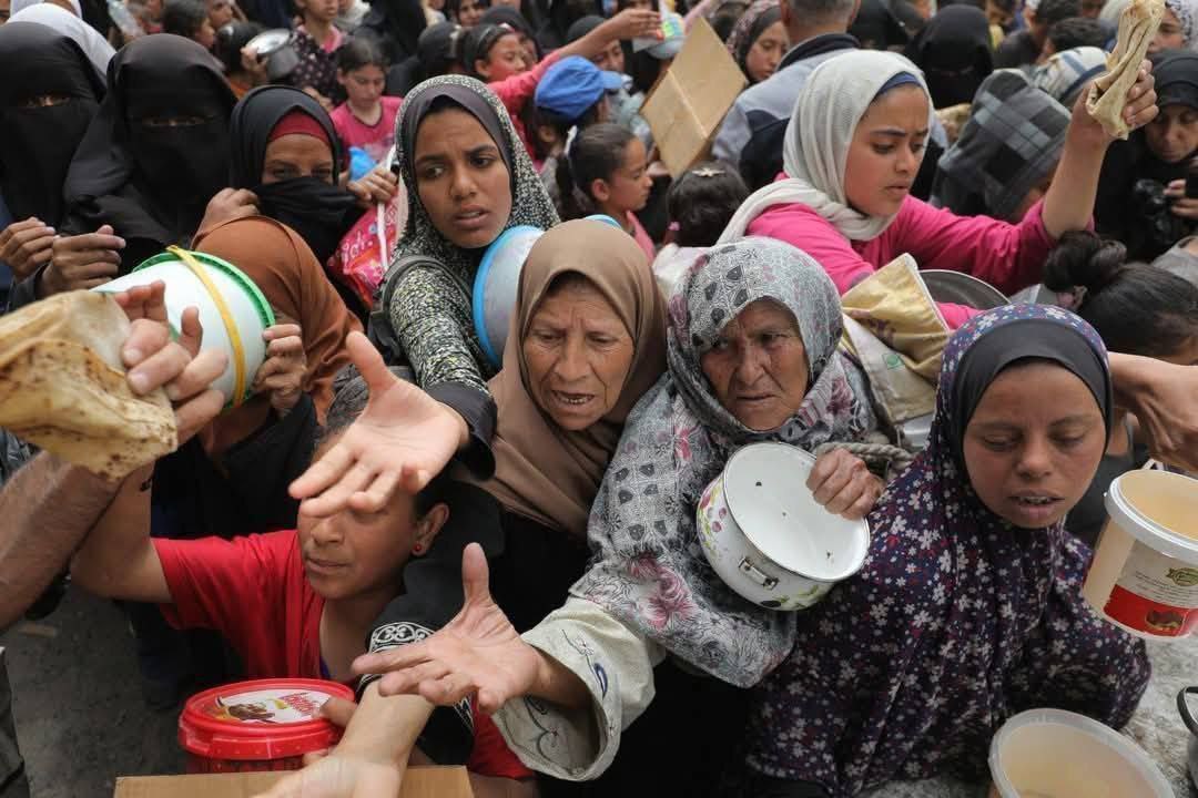 Gaza Fridays: From Serenity to Devastation