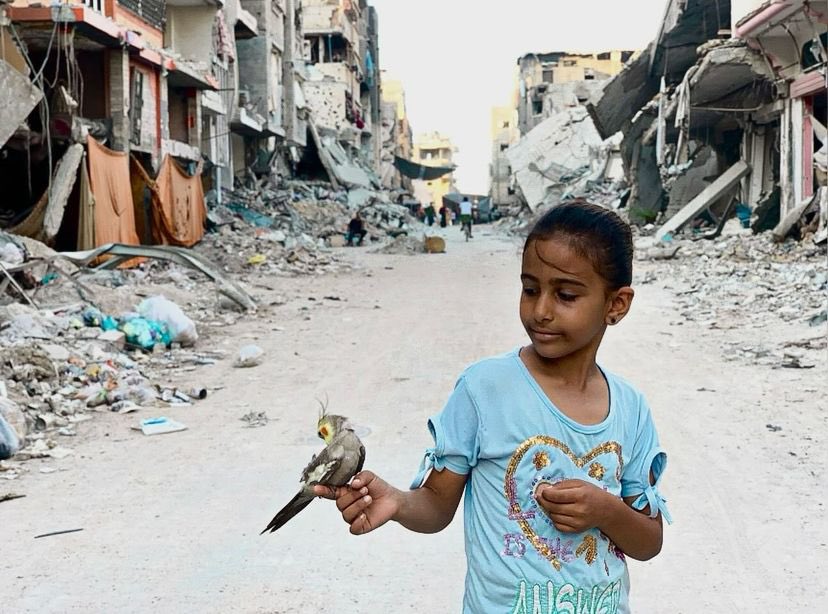Love, Nature, and Cultural Bonds in Gaza