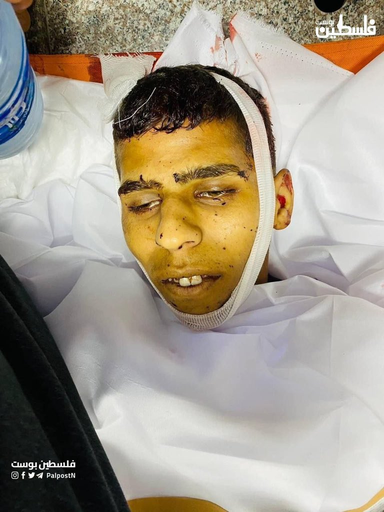 Israeli forces kill Palestinian youths distributing aid in Jenin