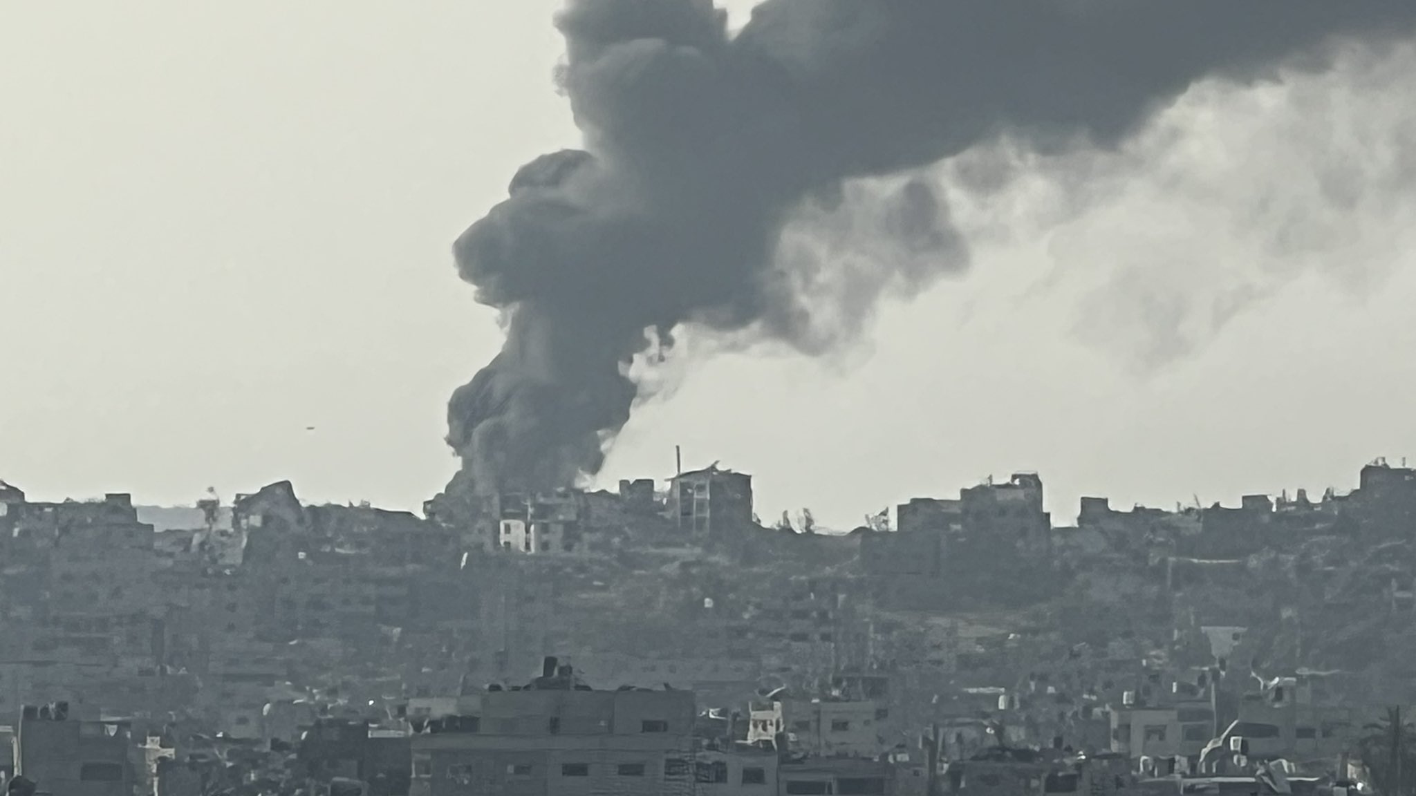 Gaza Conflict and American Protest Response