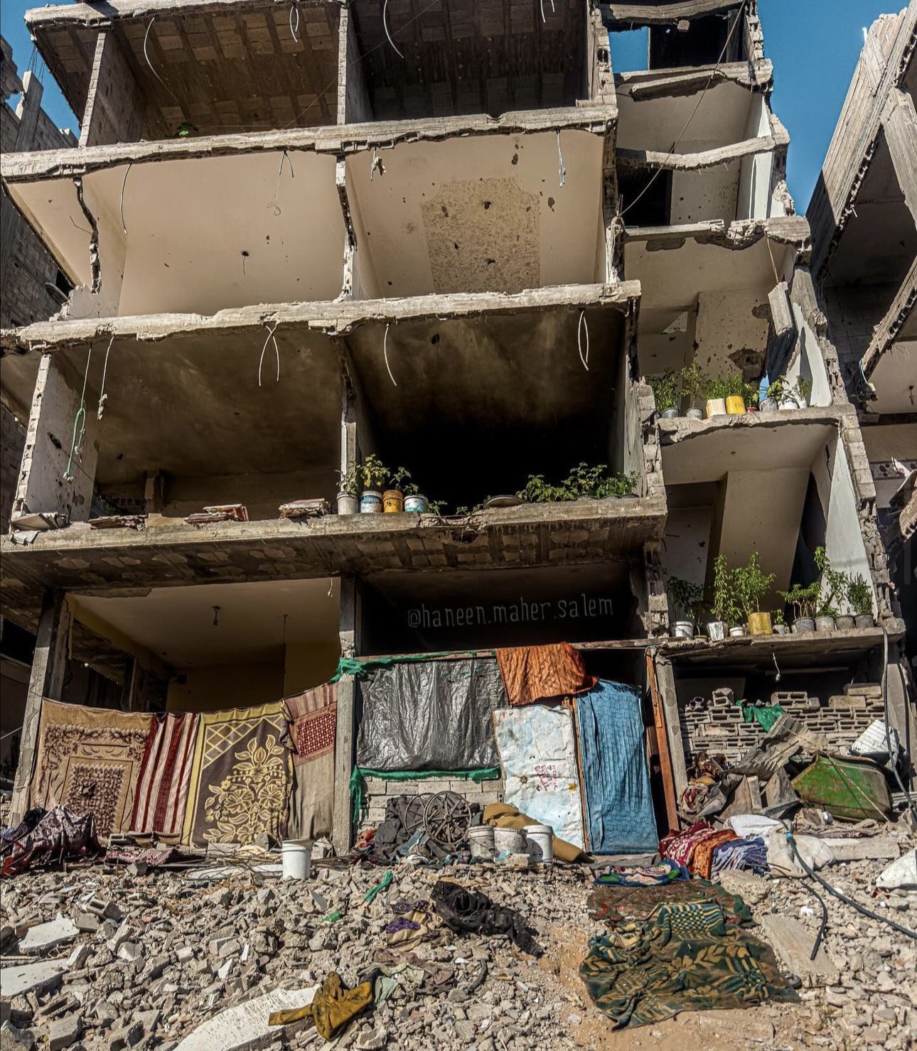 Life and Resilience Amid Destruction in Northern Gaza