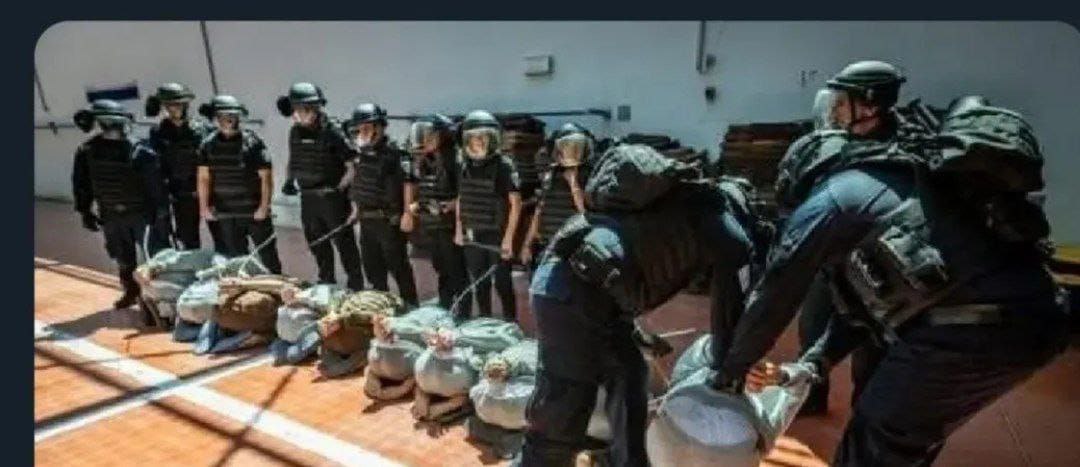 Israeli Prisons: Documented Evidence of Prisoner Abuse and Violence