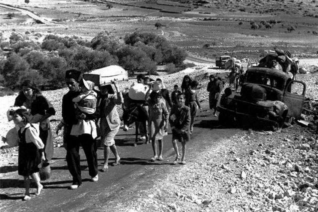 Palestinian Casualties in 2023 Conflict