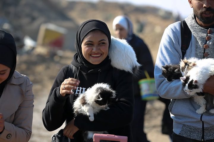 Displaced Gaza families return home after ceasefire agreement