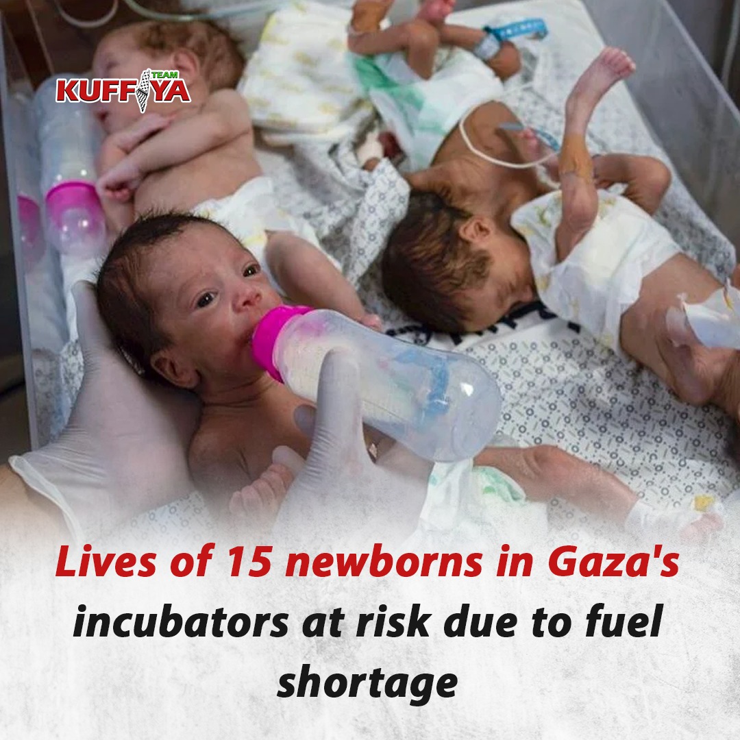 Fuel Shortage Threatens 15 Newborns at Gaza Hospital