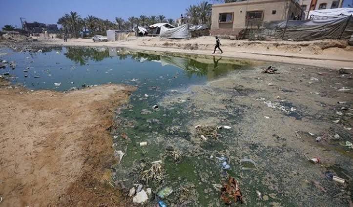 Gaza Strip Declared Polio Epidemic Zone Amid Ongoing War