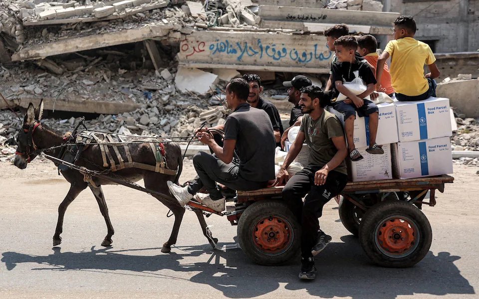 Israeli occupation transfers hundreds of stolen Gaza donkeys