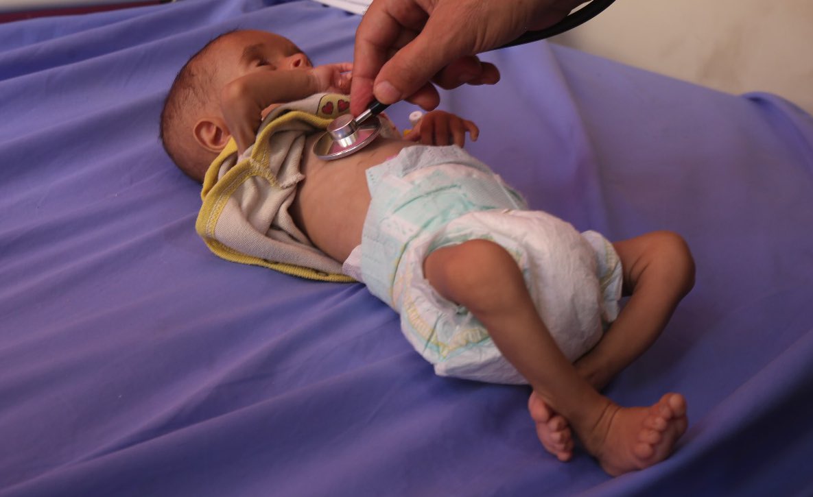 UNICEF Palestine Spokesperson on Gaza Humanitarian Crisis