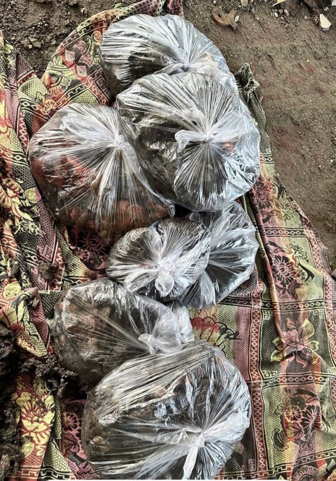 College Graduate Forced to Handle Bodies of Killed Women and Children
