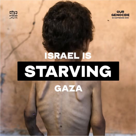 Gaza Starvation Deaths and Aid Center Violence August 2024