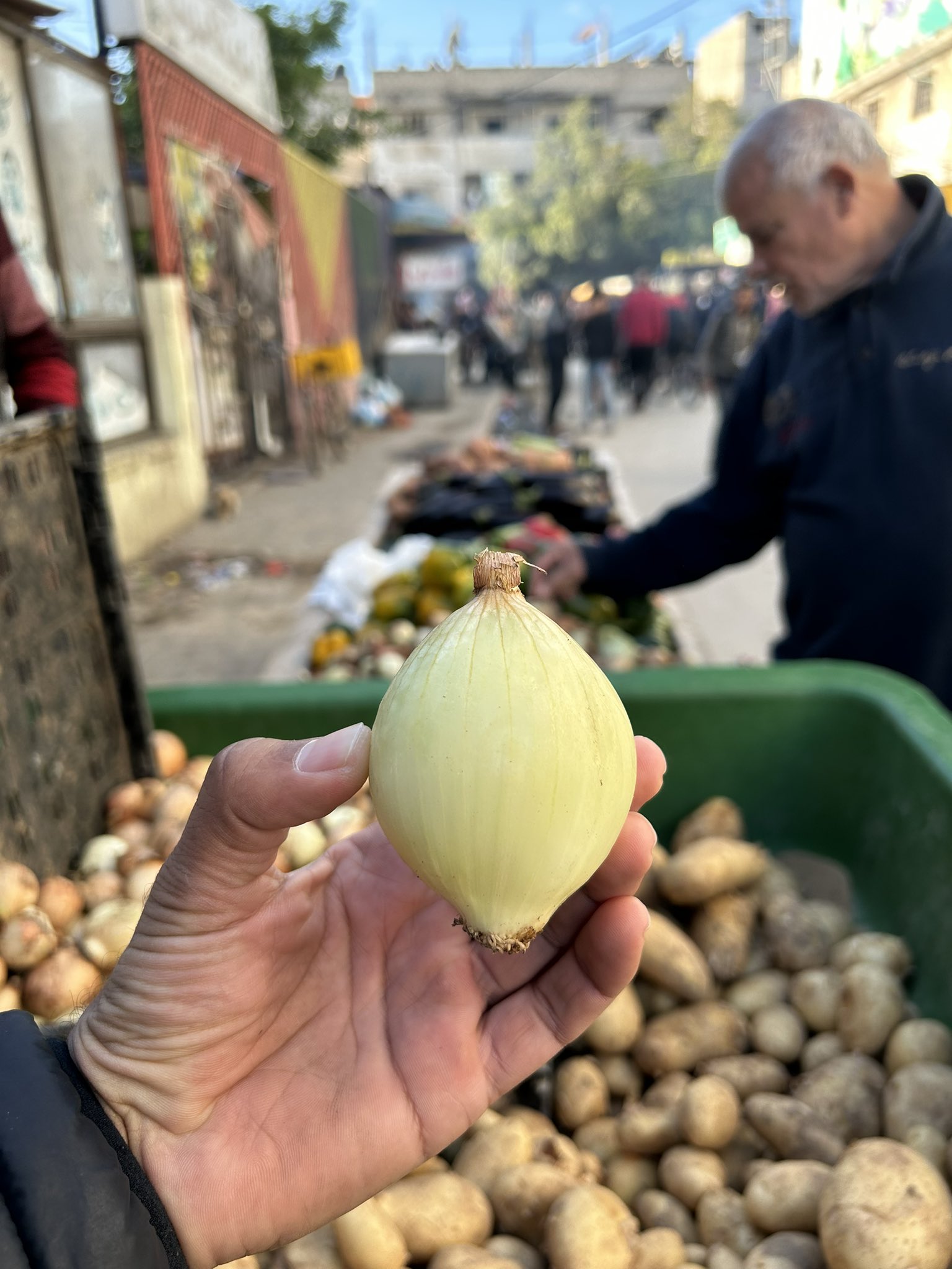 Most Expensive Vegetable in Gaza: Onion Prices Soar