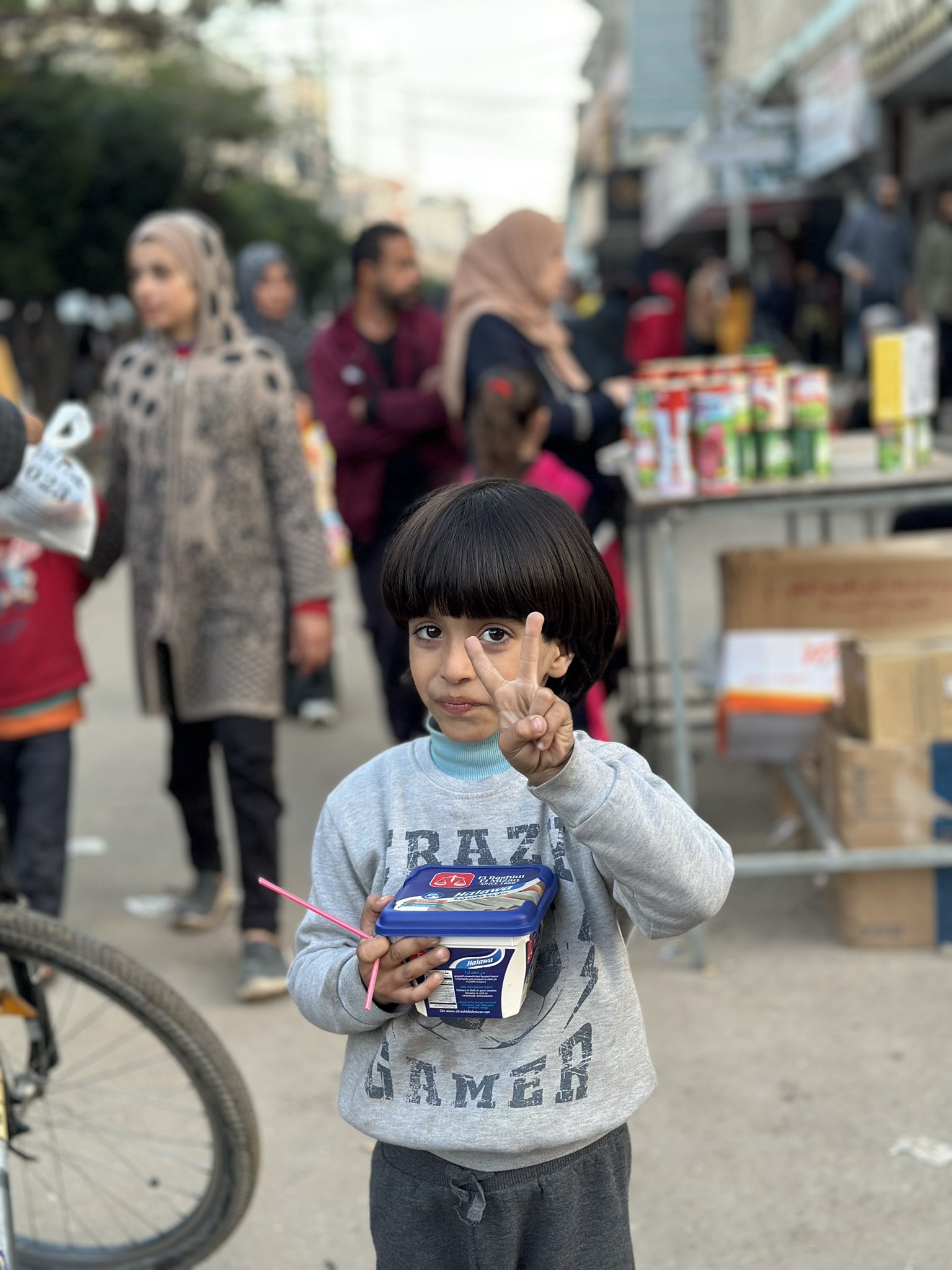 King of the Jungle Sends Peace Message from Gaza