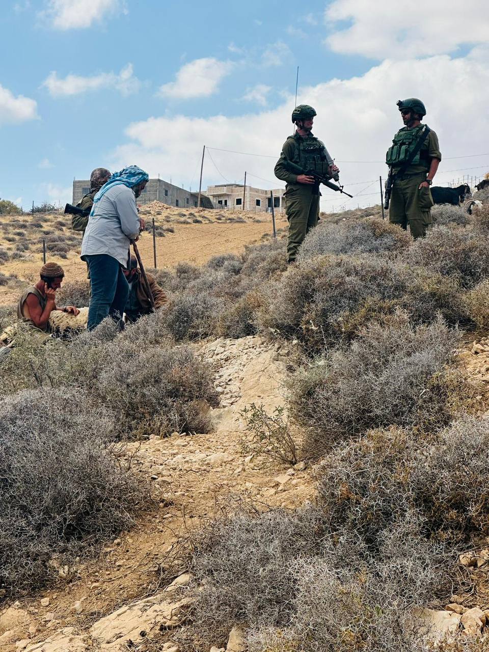 Israeli settler militias attack Palestinians in Hebron