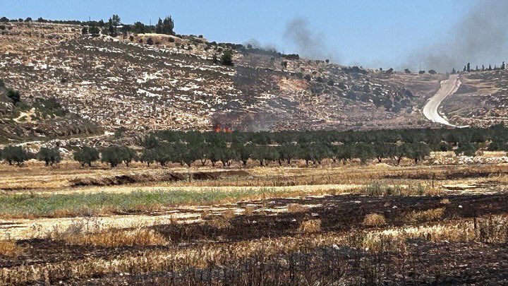 Settlers set fire to wheat fields in Abu Falah and Al-Mughayir
