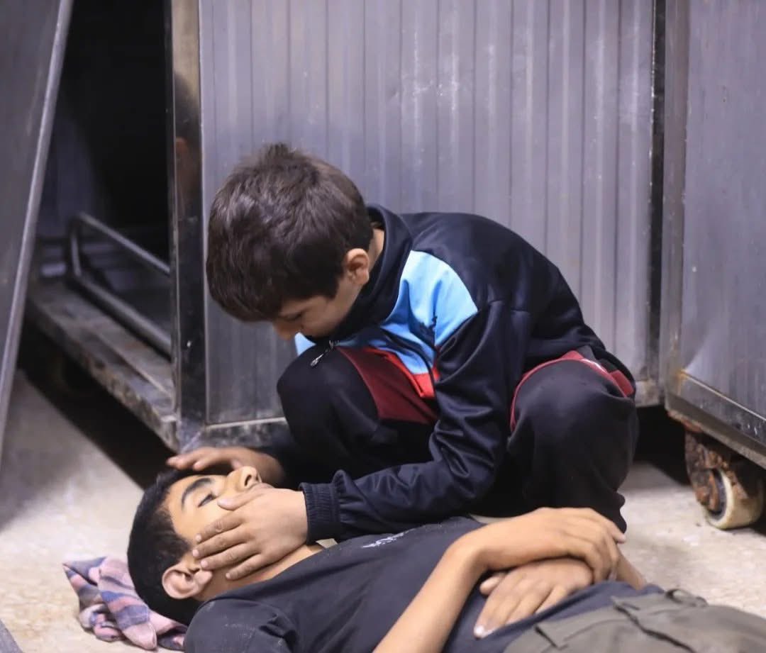 Four Displaced Persons Killed in Gaza Strip Areas