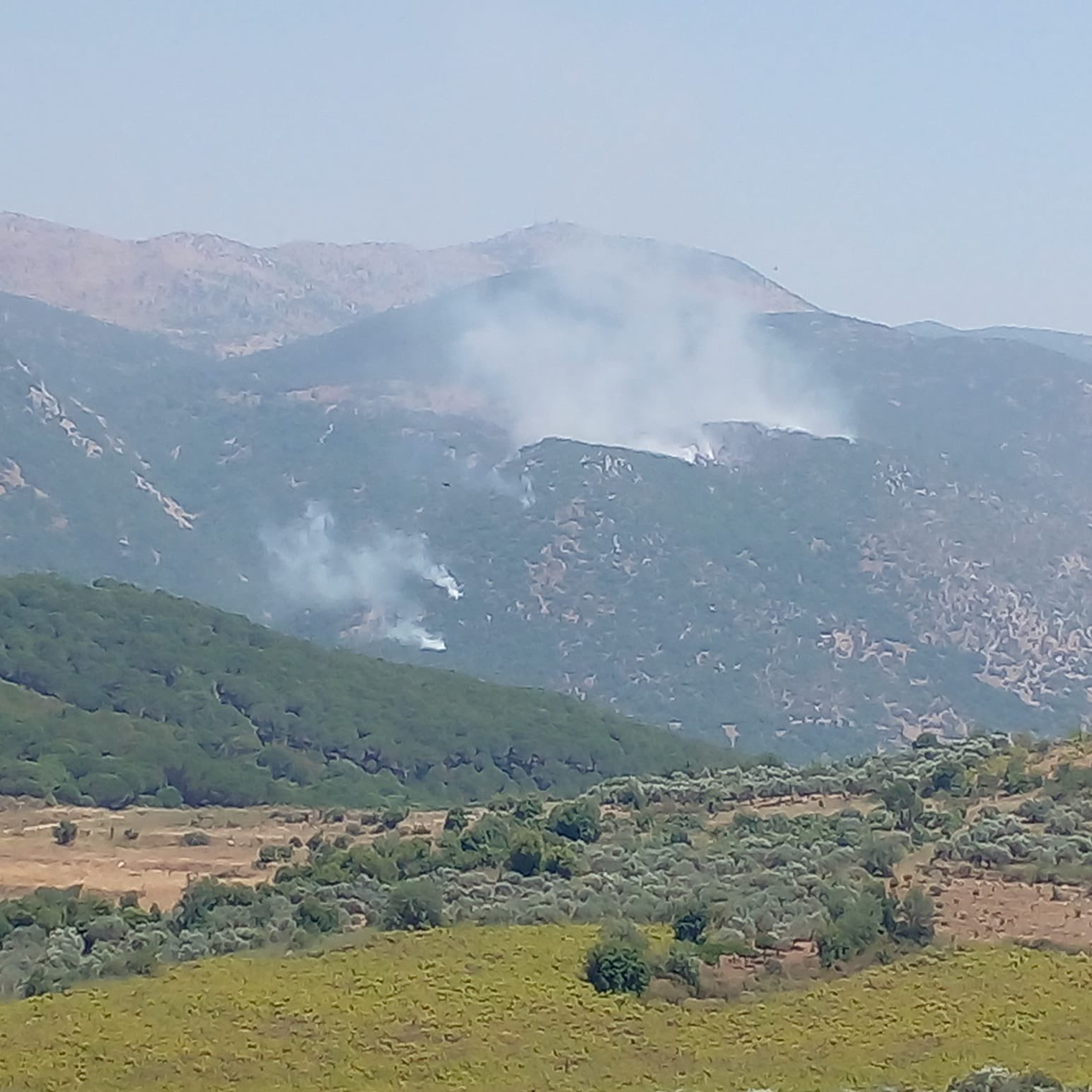 Israel Uses White Phosphorus Bombs in South Lebanon Villages