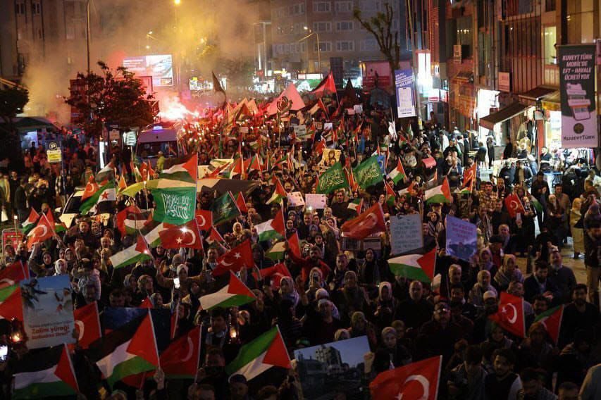 Mass Istanbul Demonstration Against Israeli Actions in Palestine