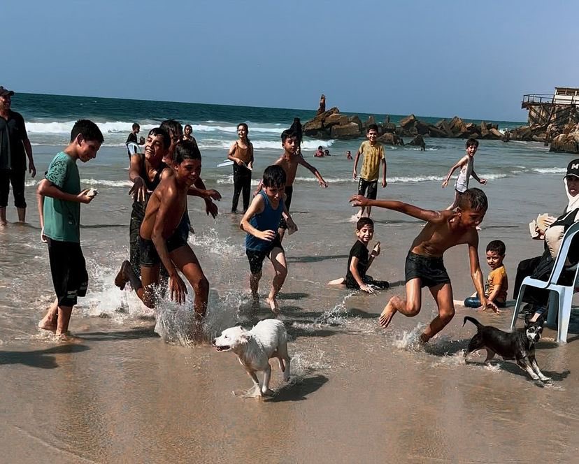 Nature and Hope Amid War in Northern Gaza
