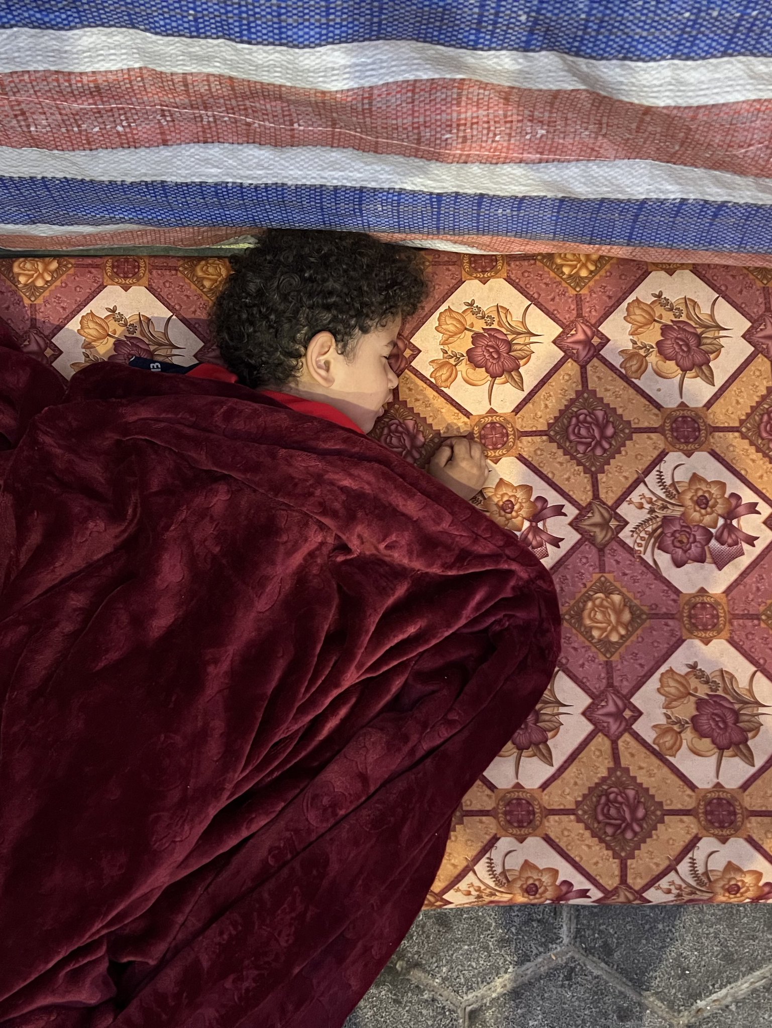Refugees in Their Own City Gaza Displacement Crisis