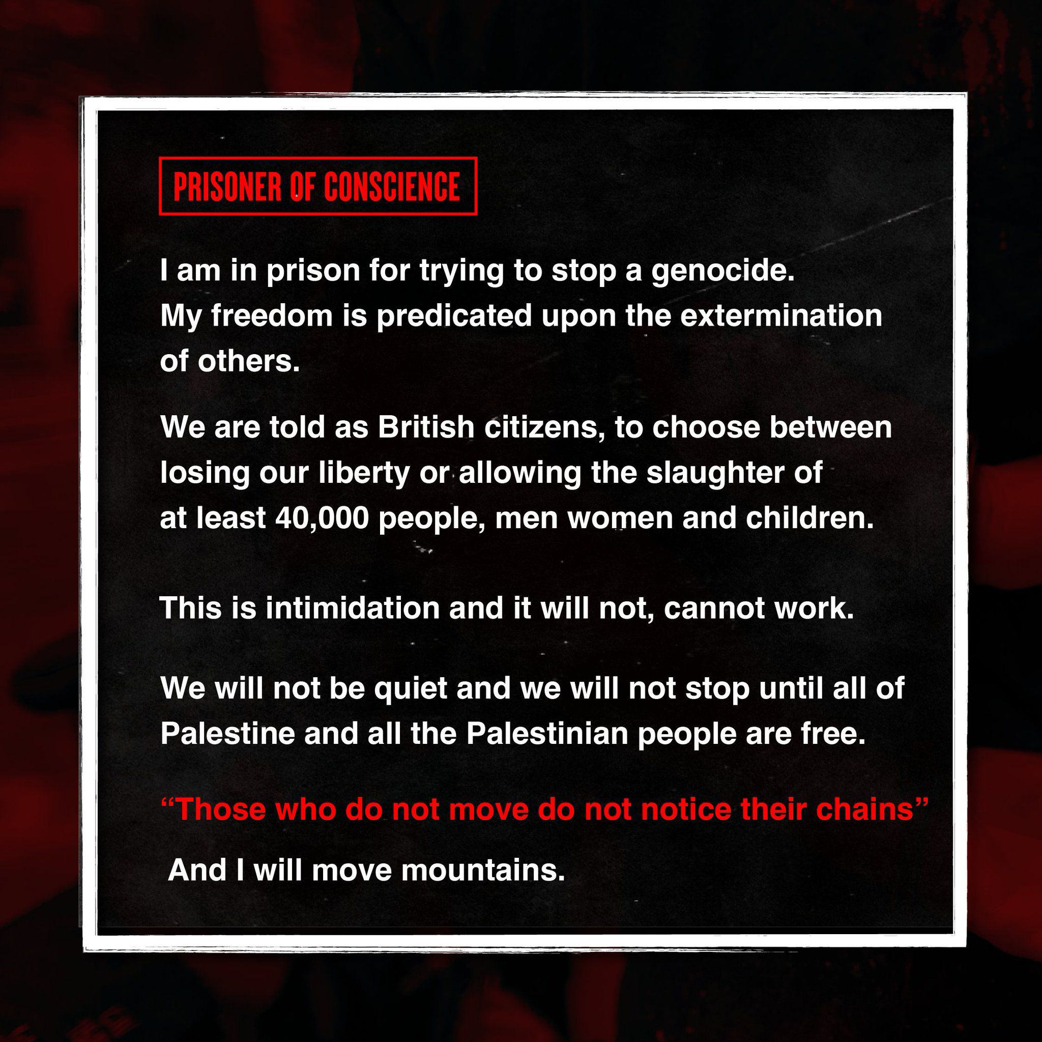 Palestine Action Prisoner Statement on Missile Parts Dismantling